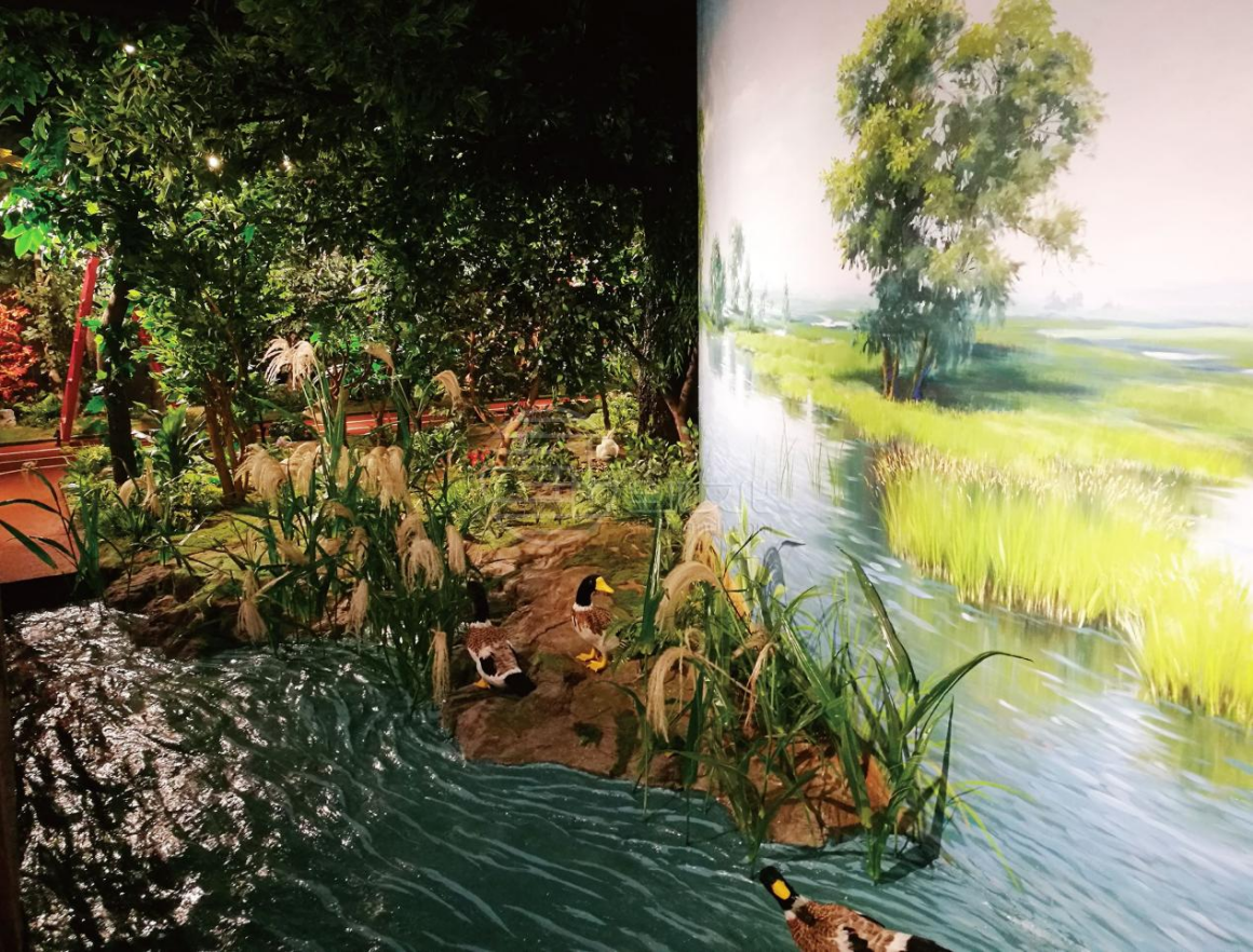 1653009992784286.png 4.場館場景不同類型的布展542.png