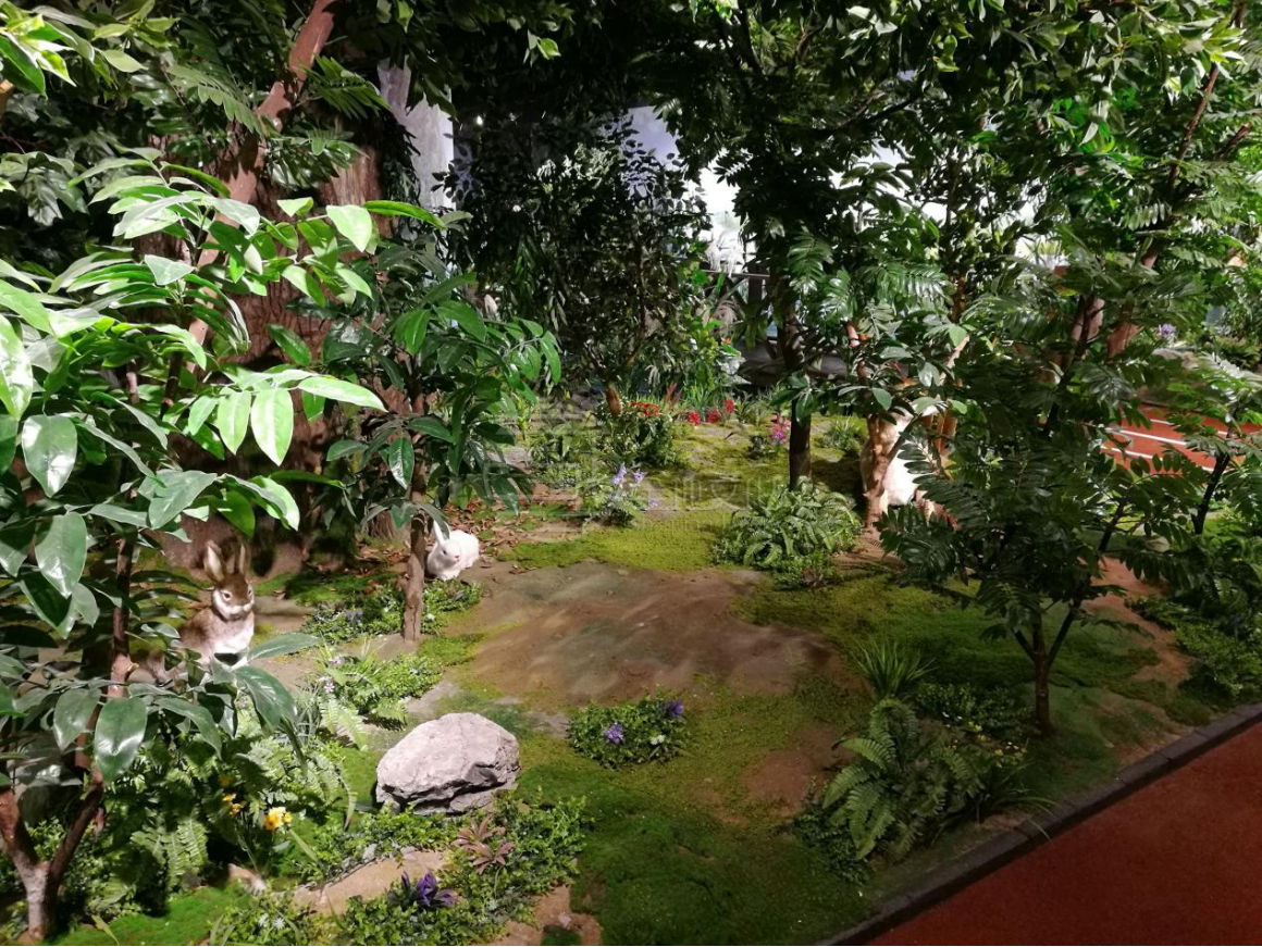 1653009997331398.png 4.場館場景不同類型的布展311.png